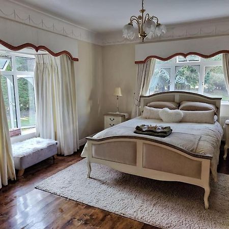 Entire Home At Ballysax House Newpark Zewnętrze zdjęcie